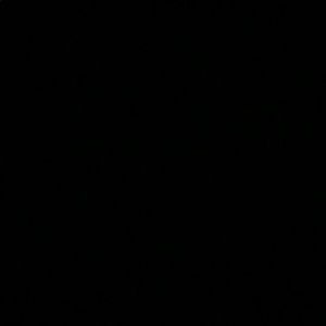 Meet your Posher, Beverly